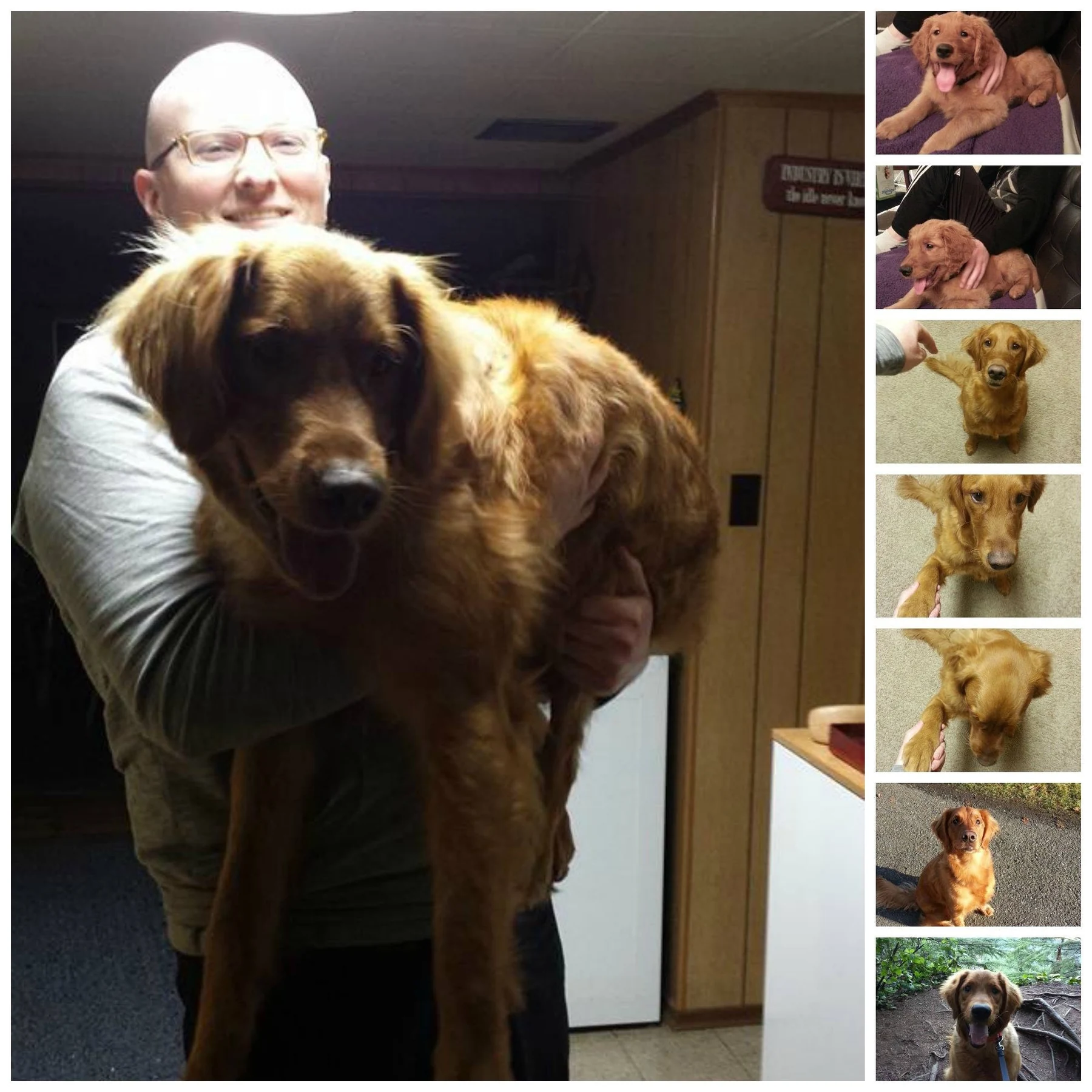 Jonathan spending time with a dog