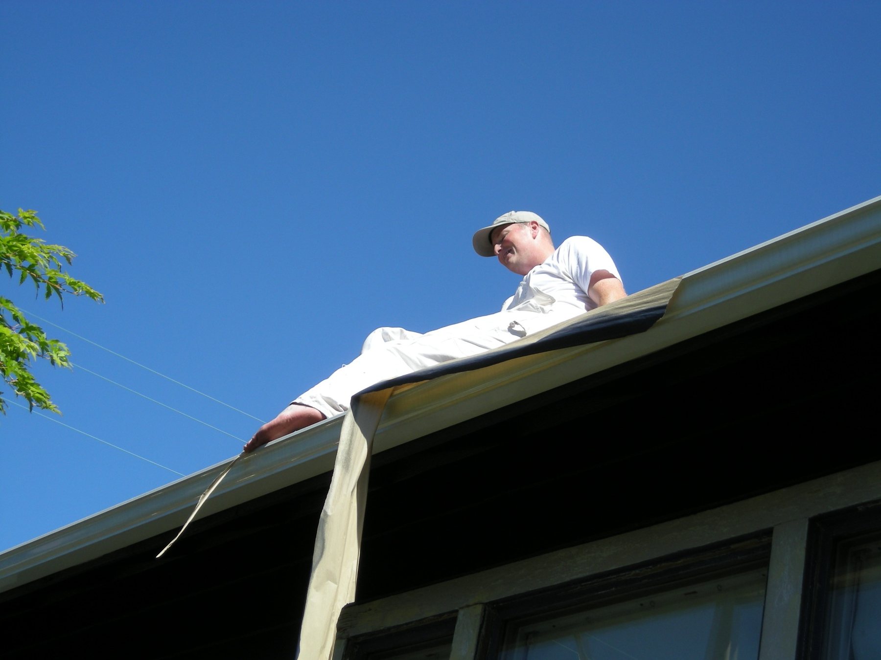 Timber & Tail painter working carefully along a difficult roofline